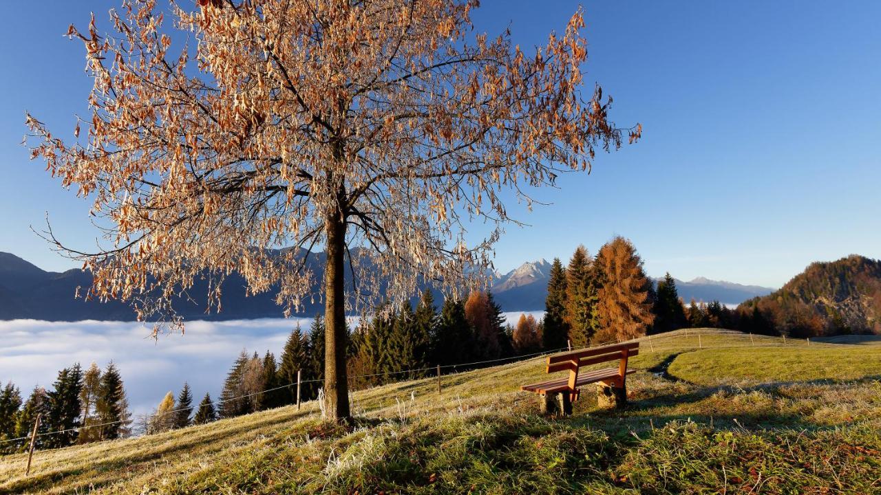 Panoramahof Am Goldberg Appartement Dellach  Buitenkant foto